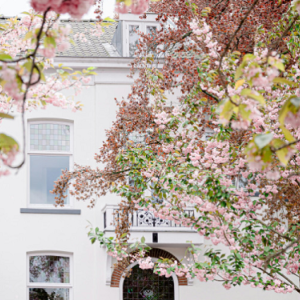 МАСИ ШТУКАТУРНІ PIGMENT